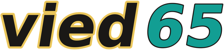 vied65 logo